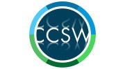 Custom Computer Services