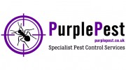 Purple Pest