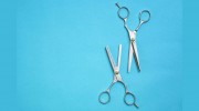 Clips Grooming Parlour