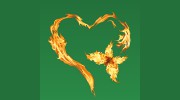 Jan Reid Holistic Practitioner