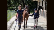 Cheston Farm Equestrian Centre