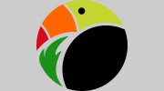 Toucan Painting Projects