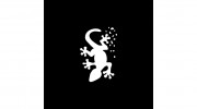 Salty Gecko Designs