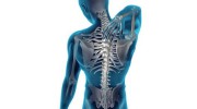 Paul Gibby Chiropractor