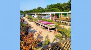 Carpenters Nursery & Farm Shop