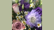 Dillys Florist