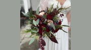 H Watts Florist
