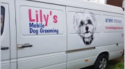Lily's Mobile Dog Grooming