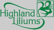 Highland Liliums