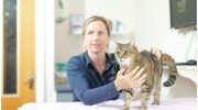 Henny Veterinary Surgery