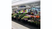 Priory Flowers
