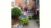 Glastonbury Galleries