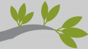 North West London Psychotherapy Centre