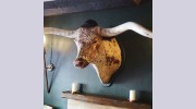 The Bull Hotel