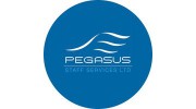 Pegasus Staff Services