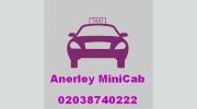 Anerley Minicab
