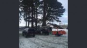 S B Tree Services
