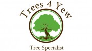 Trees 4 Yew