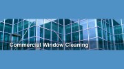 Pure Vision Window Cleaners