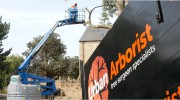 Urban Arborist