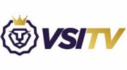 V S I Enterprises