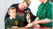 Rhodes Veterinary Surgery
