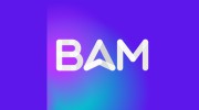 BAM Web Solutions