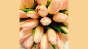 Barkers The Florist