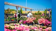 4 Pets Within Coletta & Tyson Garden Centre