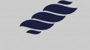 Trade Carpets