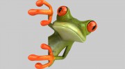 Green Frog Movers