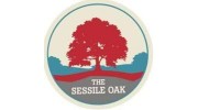 The Sessile Oak