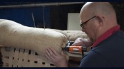 John Reed & Son Upholsterers