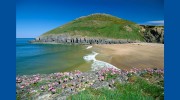 Brongwyn Cottages