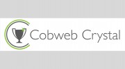 Cobweb Crystal & Engraving