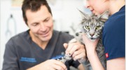 Leonard Brothers Veterinary Centre