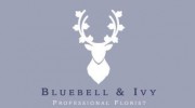 Bluebell & Ivy