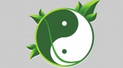 York Traditional Acupuncture