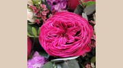 The White Orchid Floral Boutique