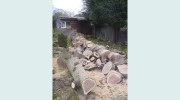 The Tree Feller