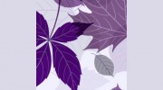 James L Wallace Funeral Directors