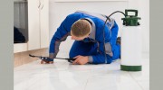 Young's Pest Control
