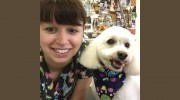 Westward Dog Spa