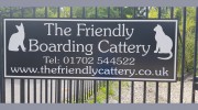 The Friendly Cattery