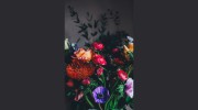 Dawns Flower Box