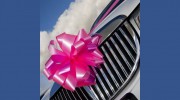 S L S Limousines