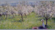 John Noott Galleries