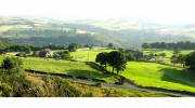 Cherry Tree Cottages