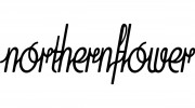 Northern Flower