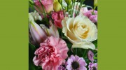 Options Florist
